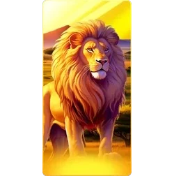 Lion
Safari